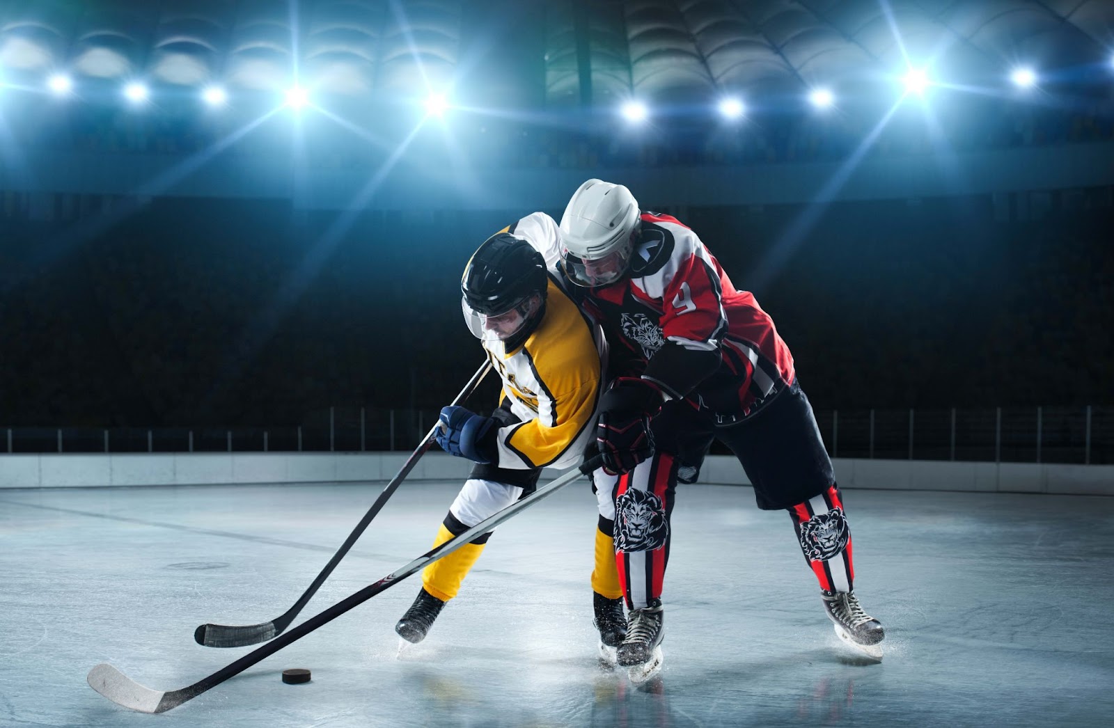 Two men are playing hockey