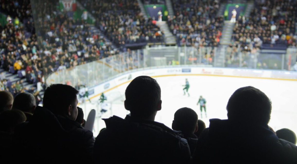 audience in their sits looking at the ice hockey game