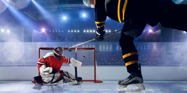 Two guys playing hockey