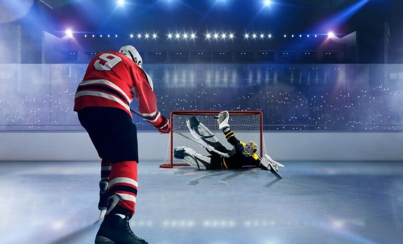 Delving Into the Durability of Hockey Barrier Materials